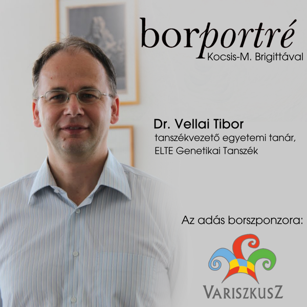 Borportré - 8. Dr. Vellai Tibor, ELTE TTK Genetikai Tanszék